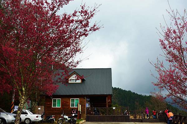 DSC_9336.JPG DSC_9336.JPG