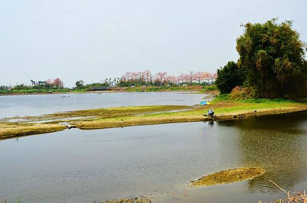 DSC_0394.JPG DSC_0394.JPG