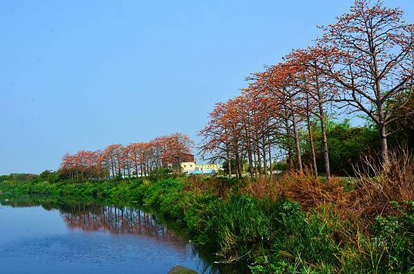 DSC_0637 DSC_0637