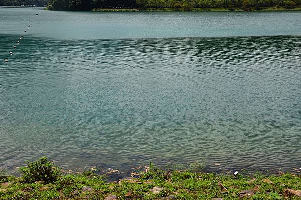 DSC_8924 DSC_8924