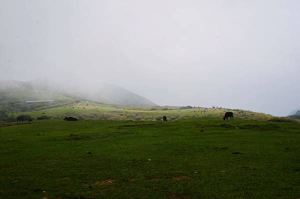 DSC_2718.JPG DSC_2718.JPG
