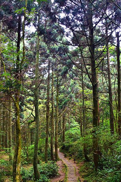 DSC_2862.JPG DSC_2862.JPG