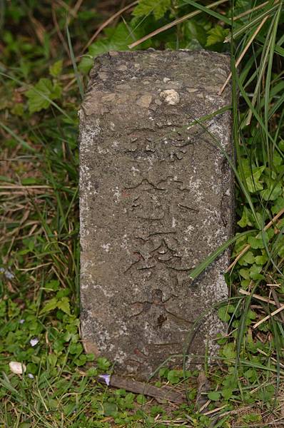 DSC_2872.JPG DSC_2872.JPG