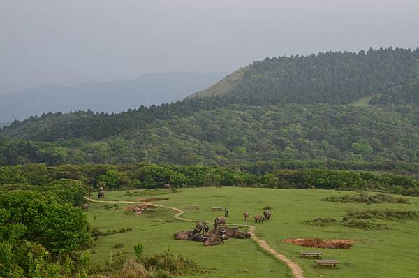 DSC_2995.JPG DSC_2995.JPG