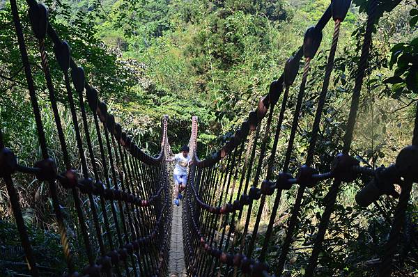 DSC_2446.JPG DSC_2446.JPG