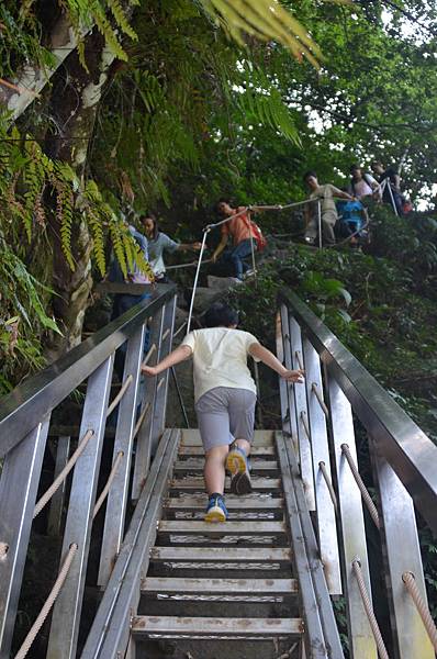 DSC_2539.JPG DSC_2539.JPG