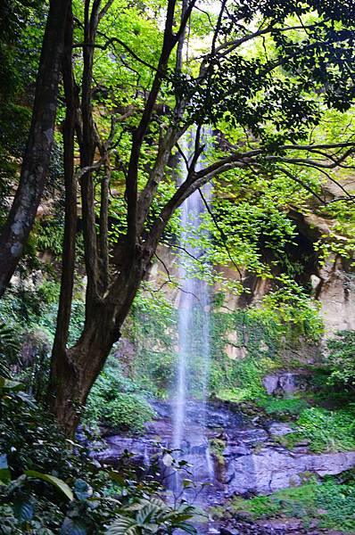 DSC_2608.JPG DSC_2608.JPG