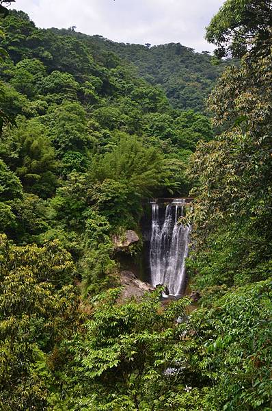 DSC_5622.JPG DSC_5622.JPG