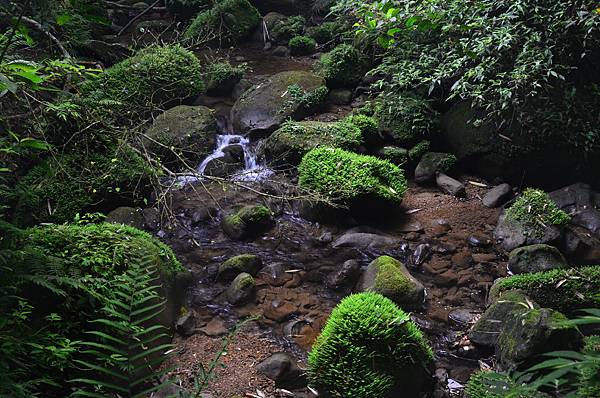 DSC_5688.JPG DSC_5688.JPG