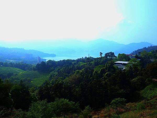 DSCN0515.JPG DSCN0515.JPG