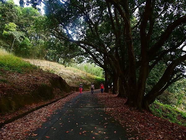 DSCN0606.JPG DSCN0606.JPG