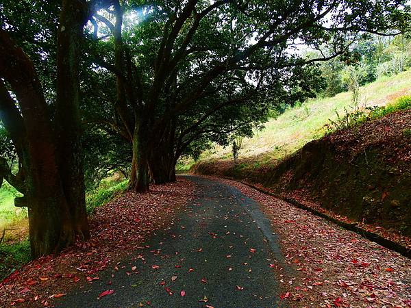 DSCN0604.JPG DSCN0604.JPG