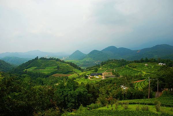 DSC_0046.JPG DSC_0046.JPG