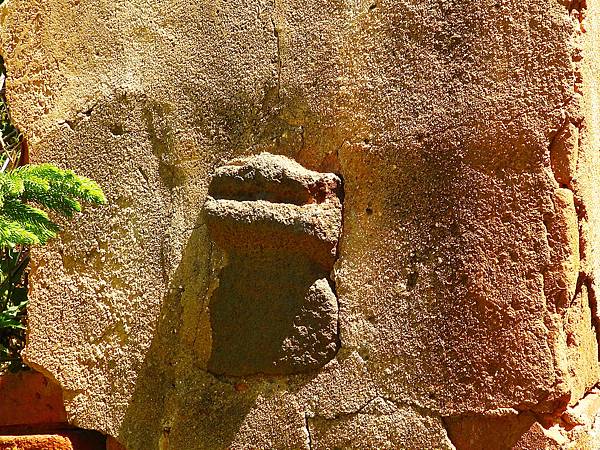 DSCN8762.JPG DSCN8762.JPG