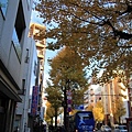2015靜岡 (51)