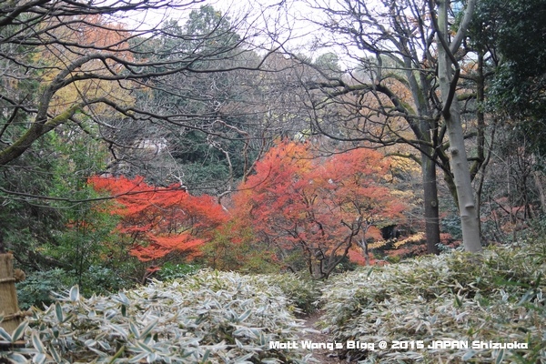 2015靜岡 (424)