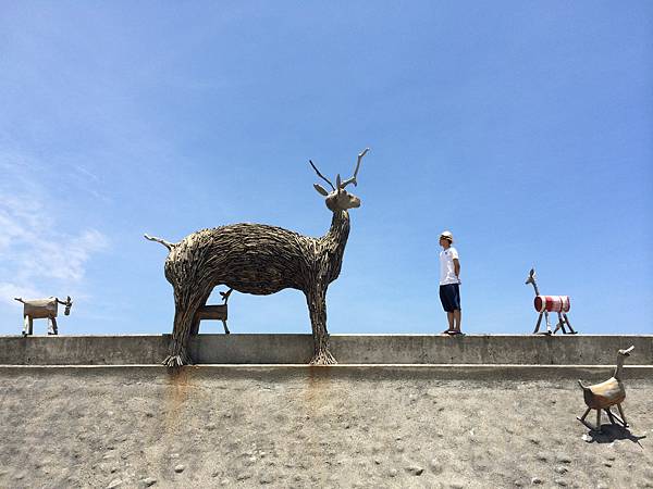 IMG_2491.JPG IMG_2491.JPG