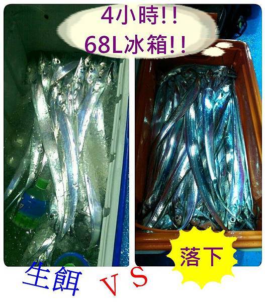 生餌落下 生餌落下