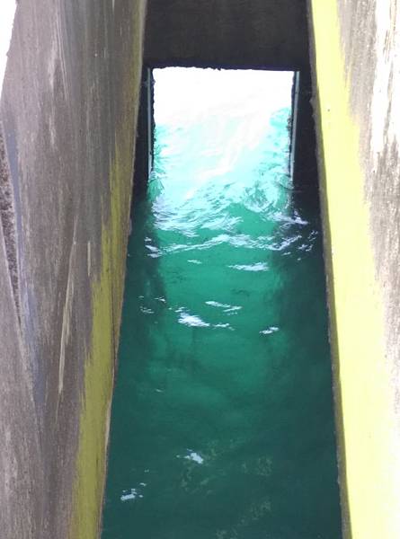 涵洞魚影1 涵洞魚影1