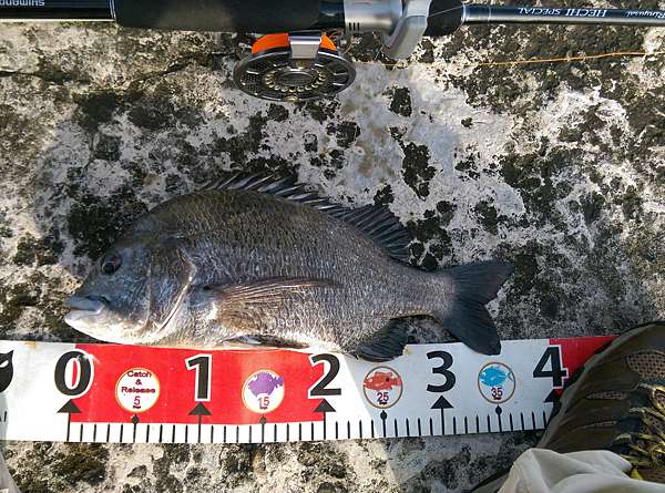15 7 1 在高堤沒天網真難起魚 堤防行走人の部落格 痞客邦 15 7 1 在高堤沒天網真難起魚 堤防行走人の部落格 痞客邦