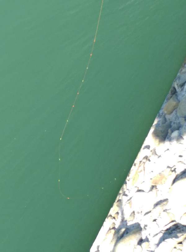 甚麼是目印 堤防行走人の部落格 痞客邦