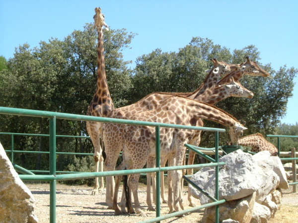 Zoo de la Barben