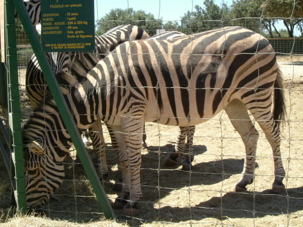 Zoo de la Barben