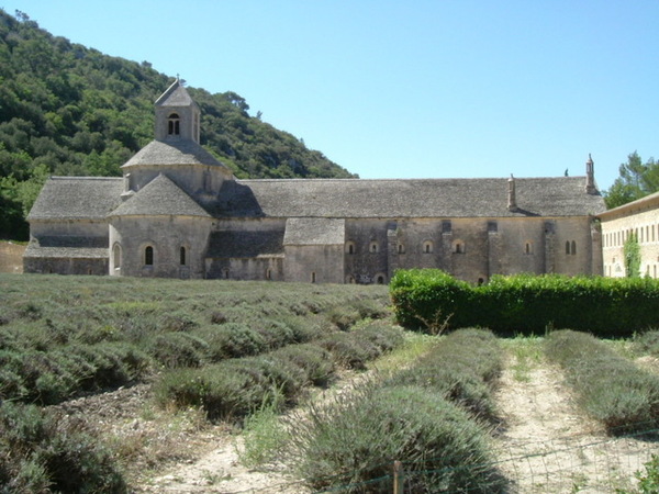 L&amp;#039;ABBAYE DE SENANQUE