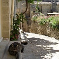 Gordes - Village