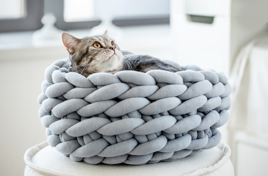 1502213096070.jpg 1502213096070.jpg