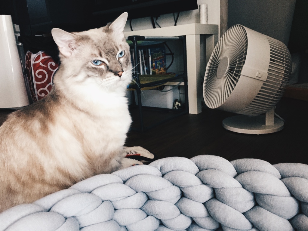 相片 2017-6-7 11 33 47.jpg