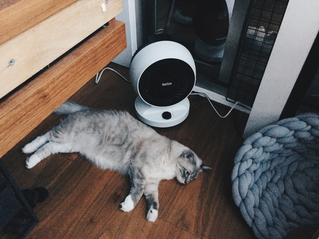 相片 2017-7-20 18 57 07.jpg 相片 2017-7-20 18 57 07.jpg