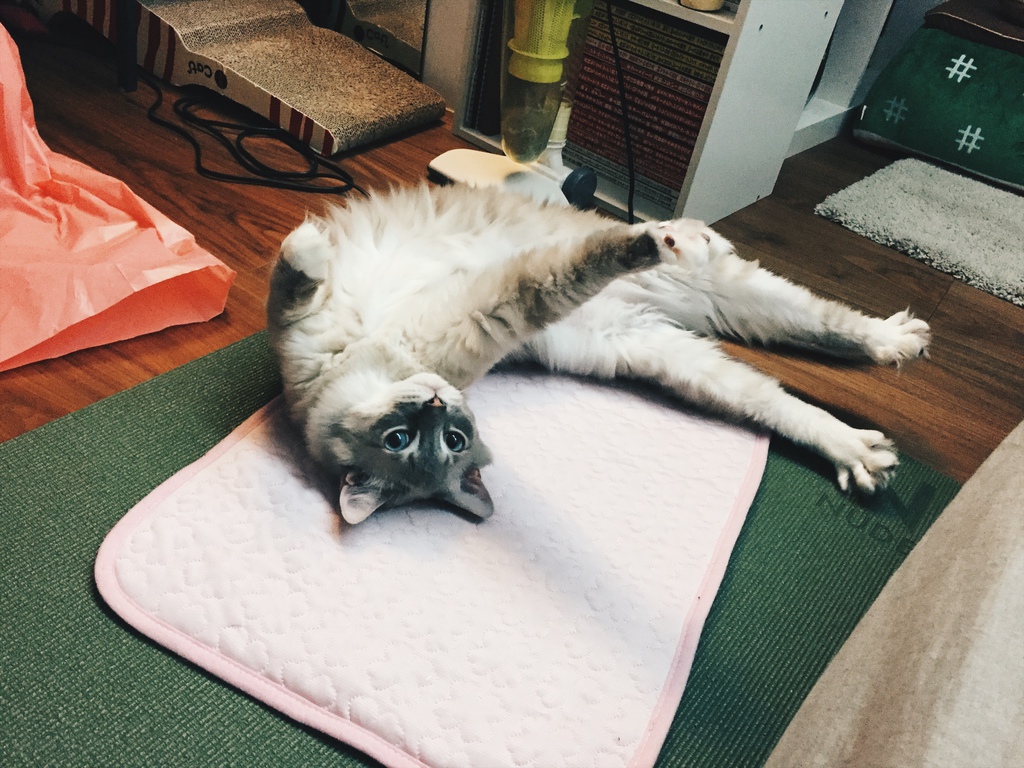 相片 2017-7-15 04 41 30.jpg