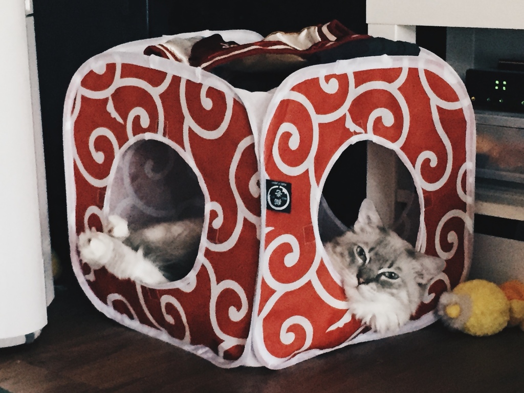 相片 2017-7-27 11 09 04.jpg