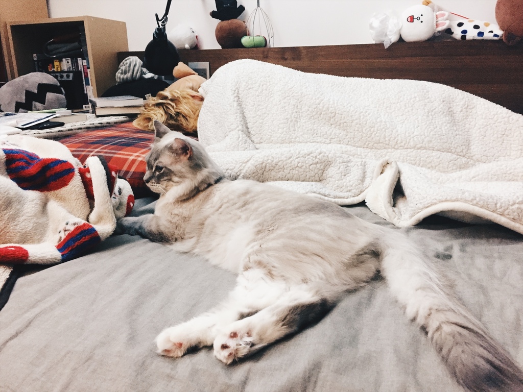 相片 2017-6-9 04 37 29.jpg 相片 2017-6-9 04 37 29.jpg