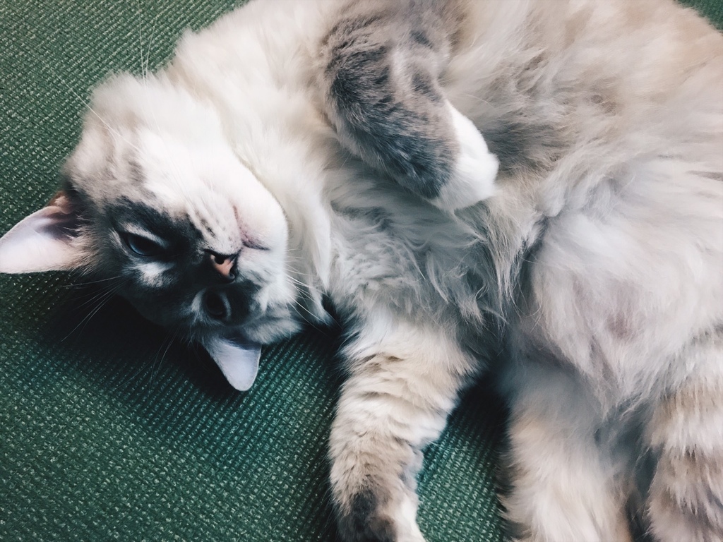 相片 2017-7-28 14 30 59.jpg