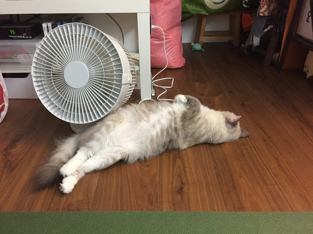 相片 2017-8-6 00 14 37.jpg 相片 2017-8-6 00 14 37.jpg