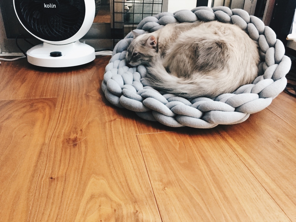 相片 2017-8-6 16 56 18.jpg