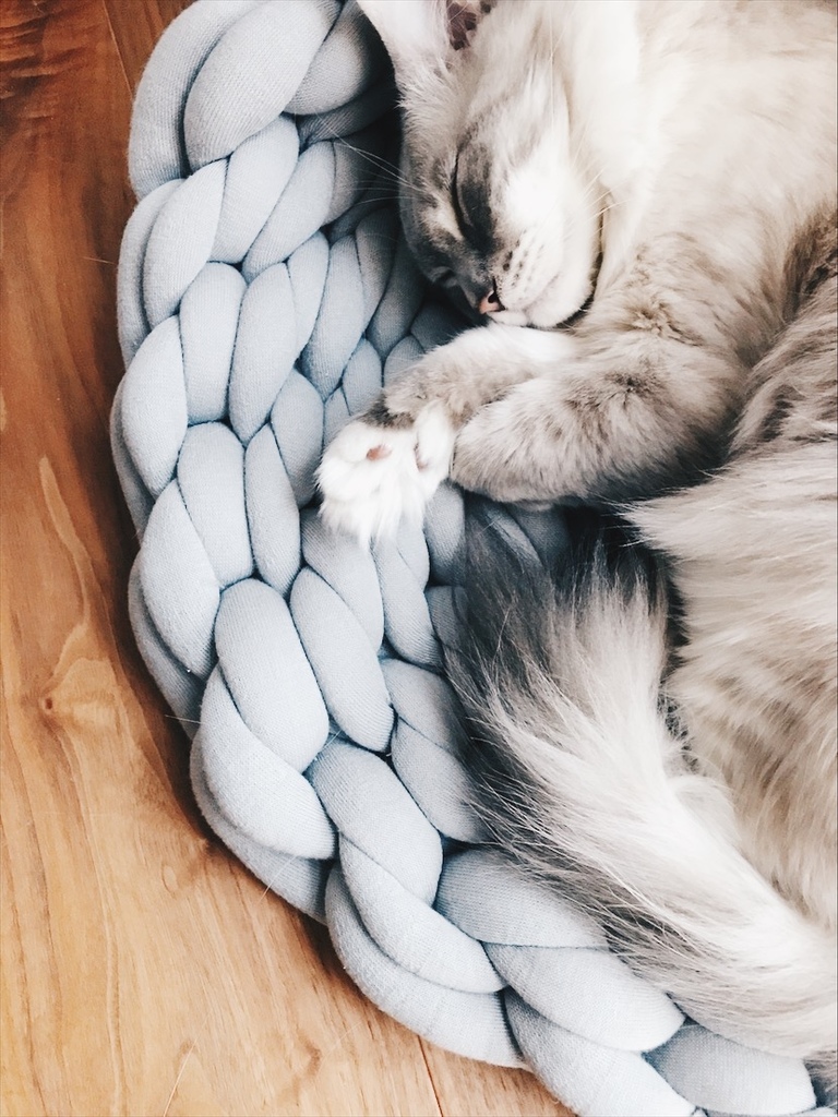 相片 2017-8-6 18 29 49.jpg