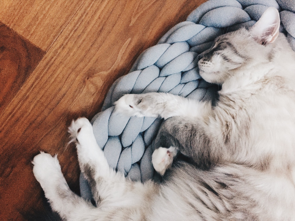 相片 2017-8-6 17 37 17.jpg 相片 2017-8-6 17 37 17.jpg