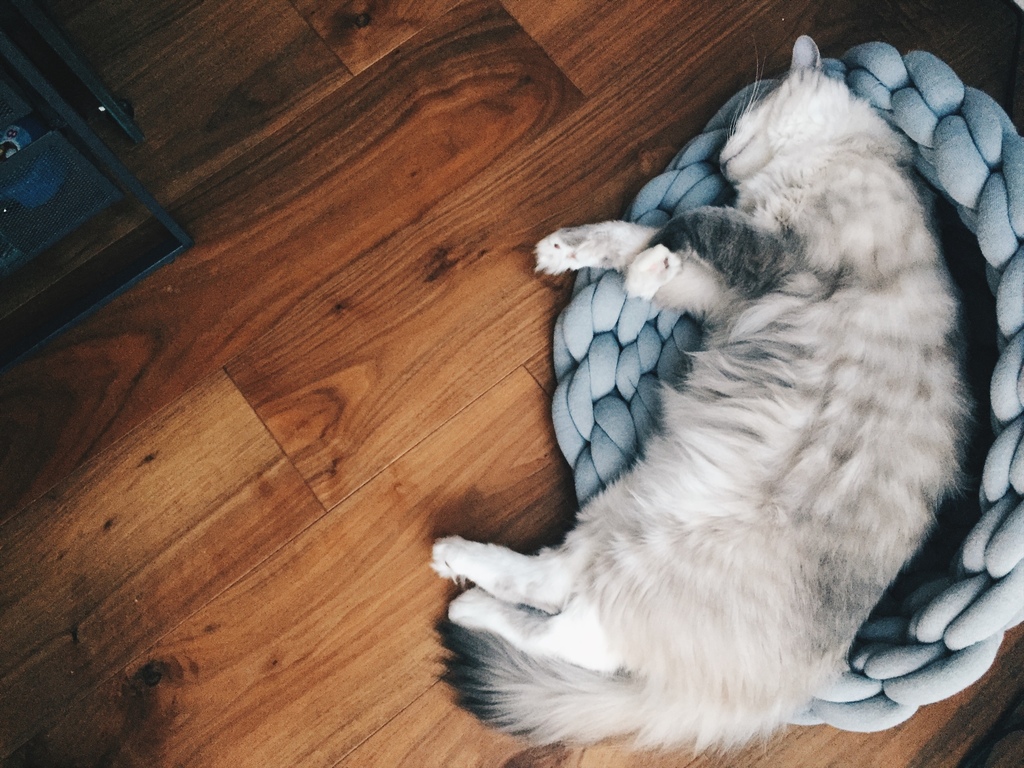 相片 2017-8-6 17 38 54.jpg