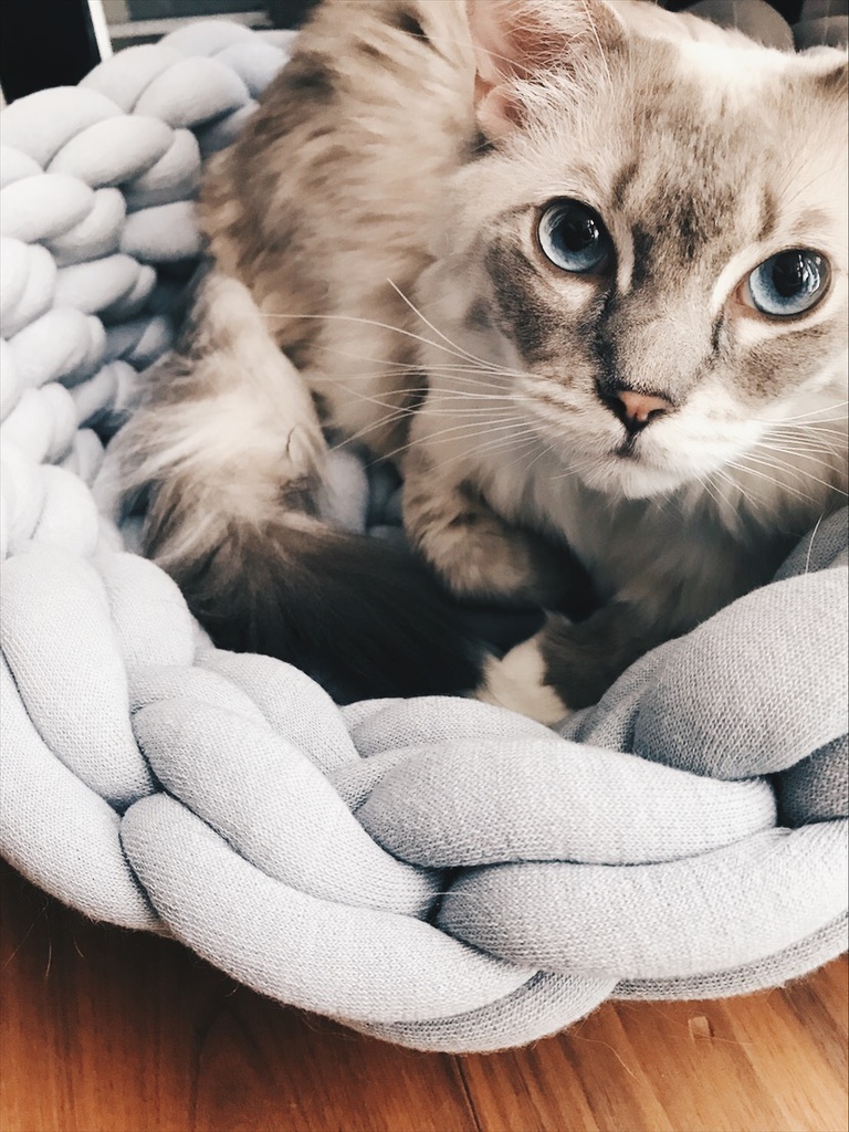 相片 2017-8-12 21 13 42.jpg