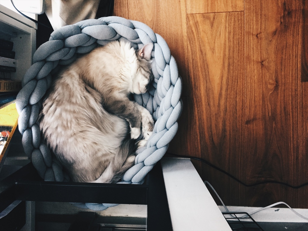 相片 2017-8-12 13 58 39.jpg