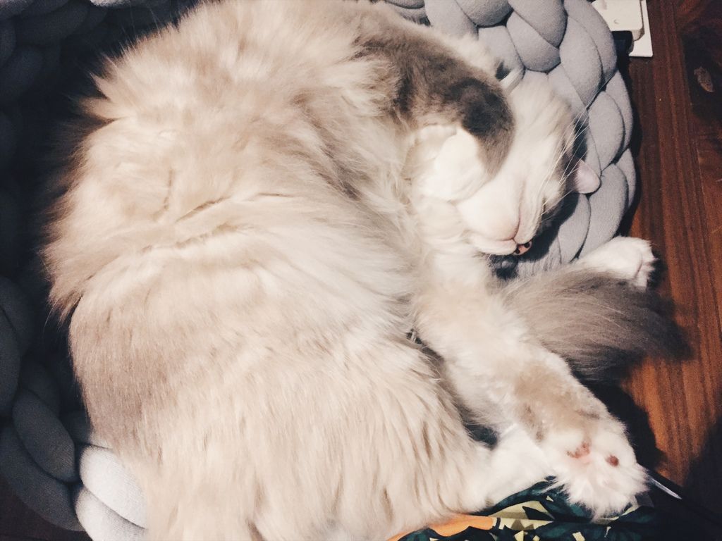 相片 2017-11-15 21 58 19.jpg 相片 2017-11-15 21 58 19.jpg