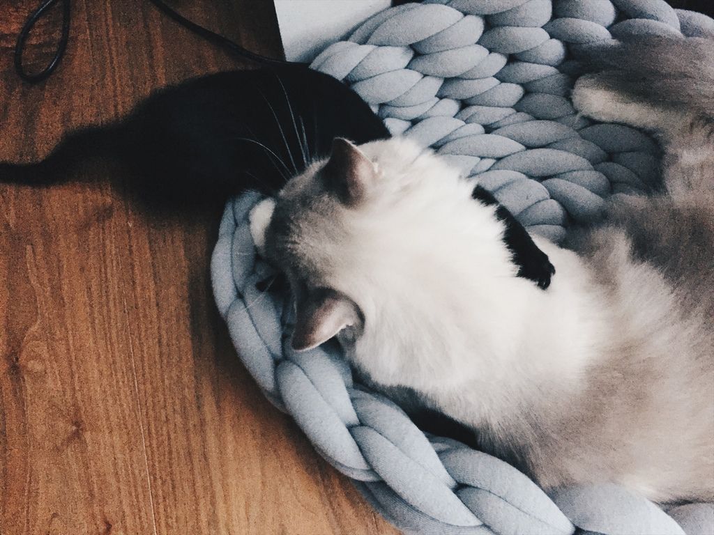 相片 2017-11-21 16 44 02.jpg 相片 2017-11-21 16 44 02.jpg