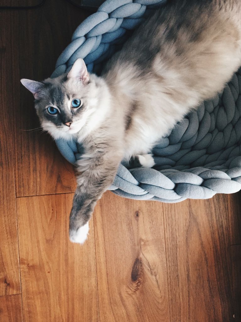 相片 2017-11-21 16 14 24.jpg 相片 2017-11-21 16 14 24.jpg