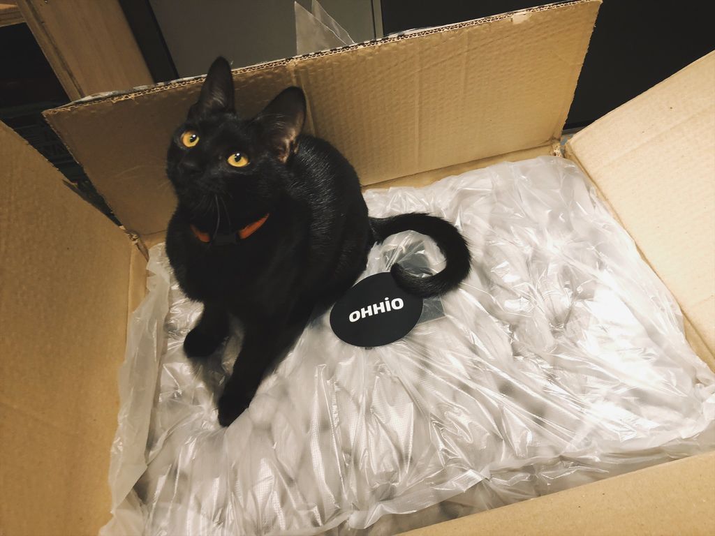 相片 2018-1-11 20 41 00.jpg 相片 2018-1-11 20 41 00.jpg