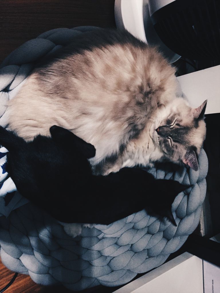 相片 2017-12-1 17 57 54.jpg 相片 2017-12-1 17 57 54.jpg