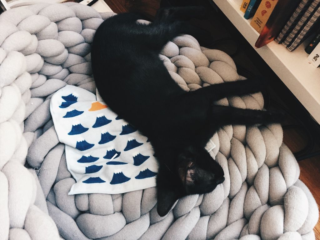 相片 2017-11-17 13 24 19.jpg 相片 2017-11-17 13 24 19.jpg