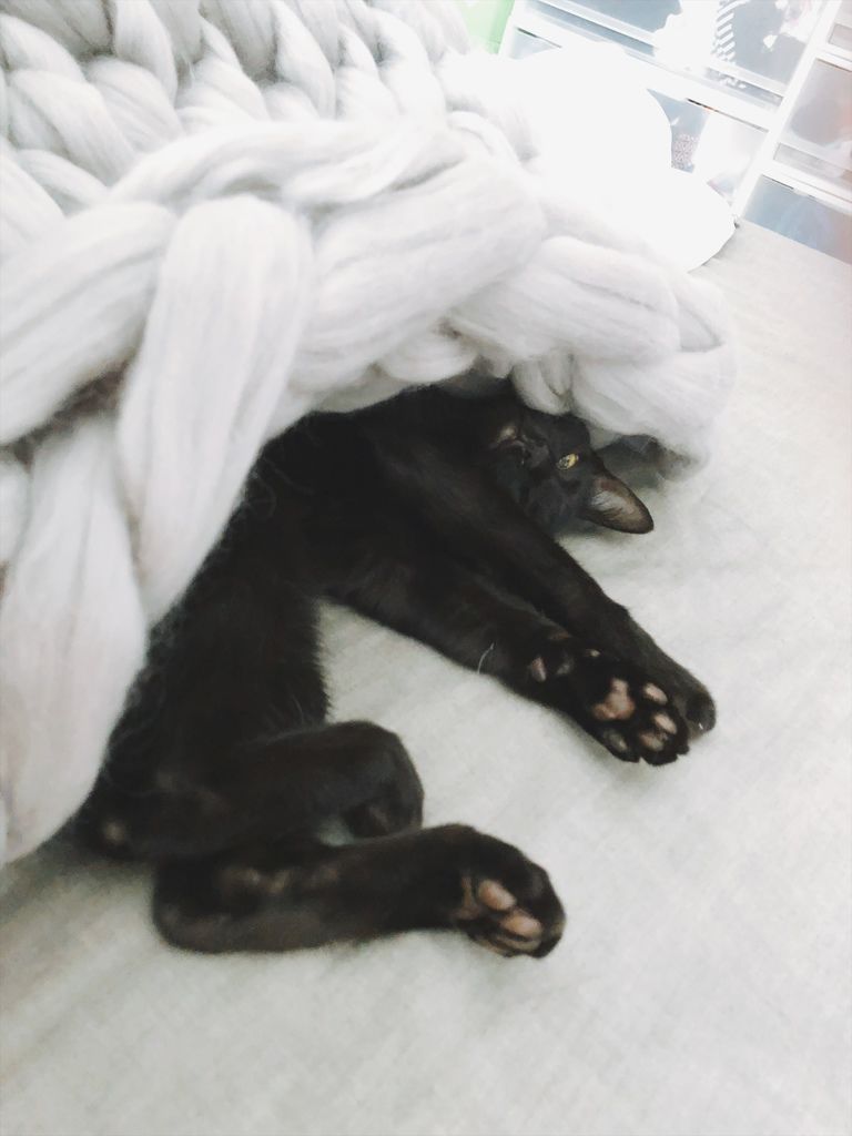 相片 2018-1-12 11 43 07.jpg 相片 2018-1-12 11 43 07.jpg